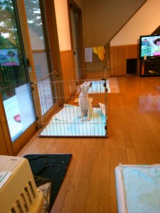 max_20150627_3