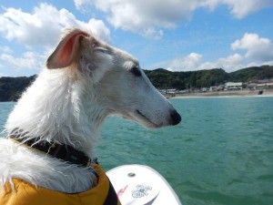 max_20150921_2