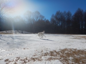 DSCN0836