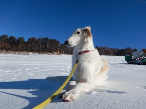 DSCN0953