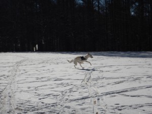 DSCN0974